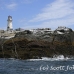lighthouse_island_seal_machias_h_2350_can1403.jpg